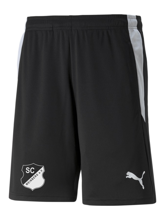 PUMA teamLIGA Referee Shorts