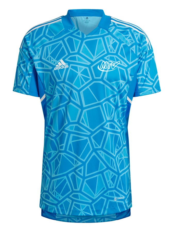 adidas Condivo 22 Torwarttrikot