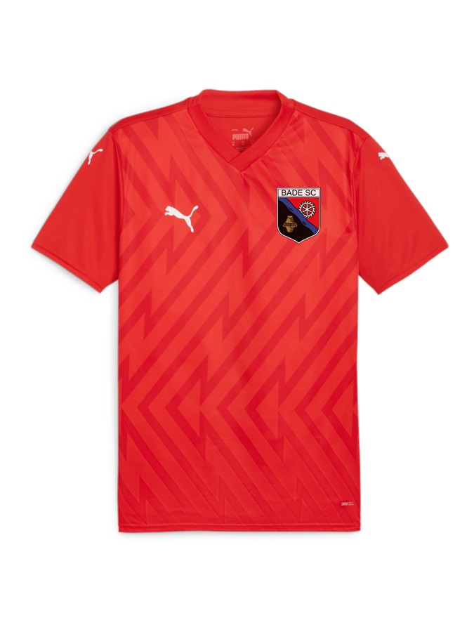 PUMA teamGLORY Trikot
