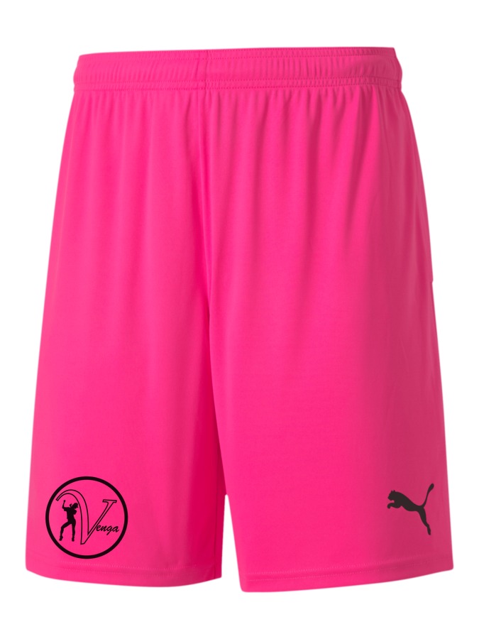 PUMA teamGOAL 23 Knit Shorts