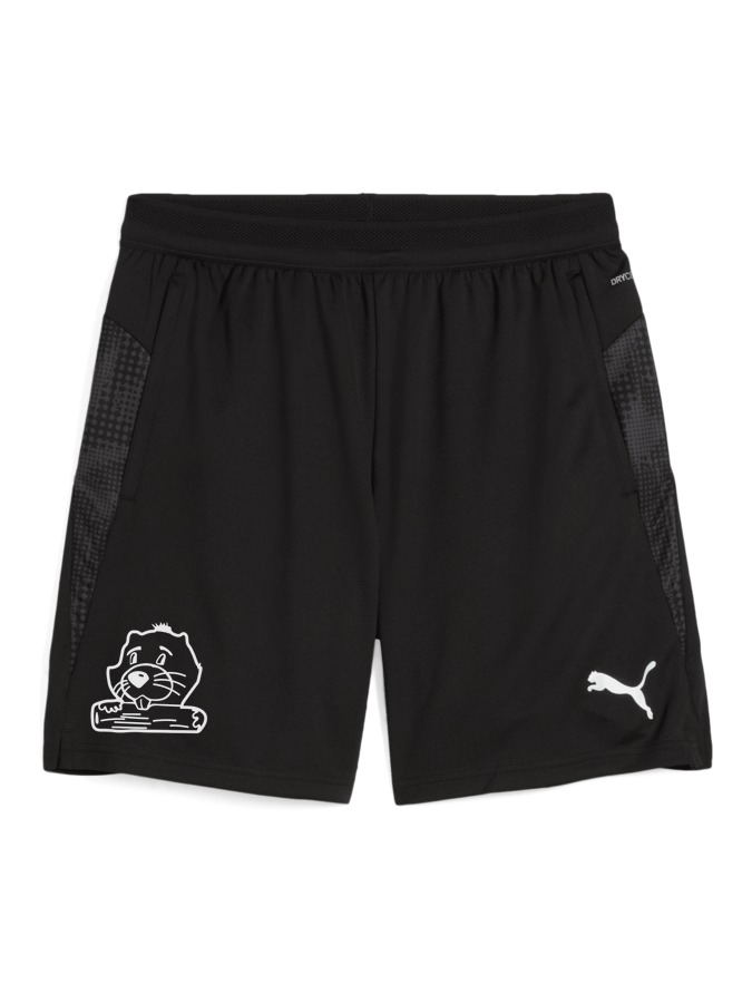 PUMA teamCUP Training Shorts