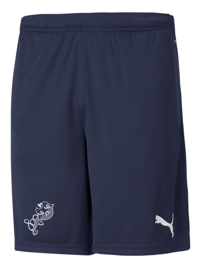 PUMA teamRISE Training Shorts
