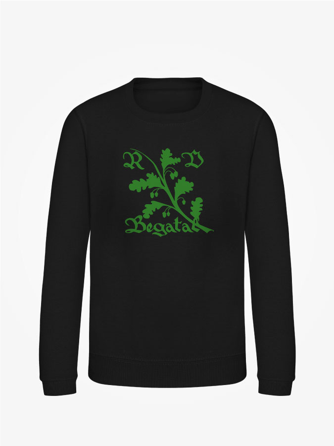 Sweatshirt Classic Kids