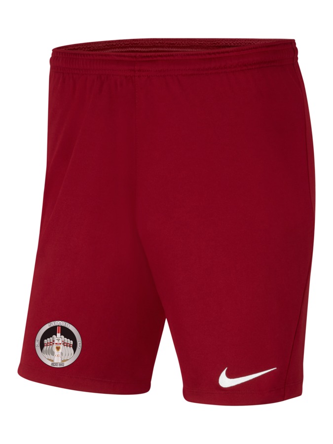 Nike Park 3 Knit Shorts