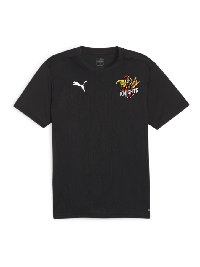 PUMA teamFINAL Trainingsshirt