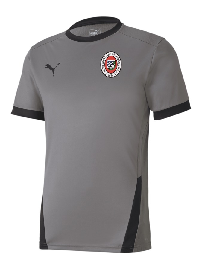 PUMA teamGOAL 23 Trikot