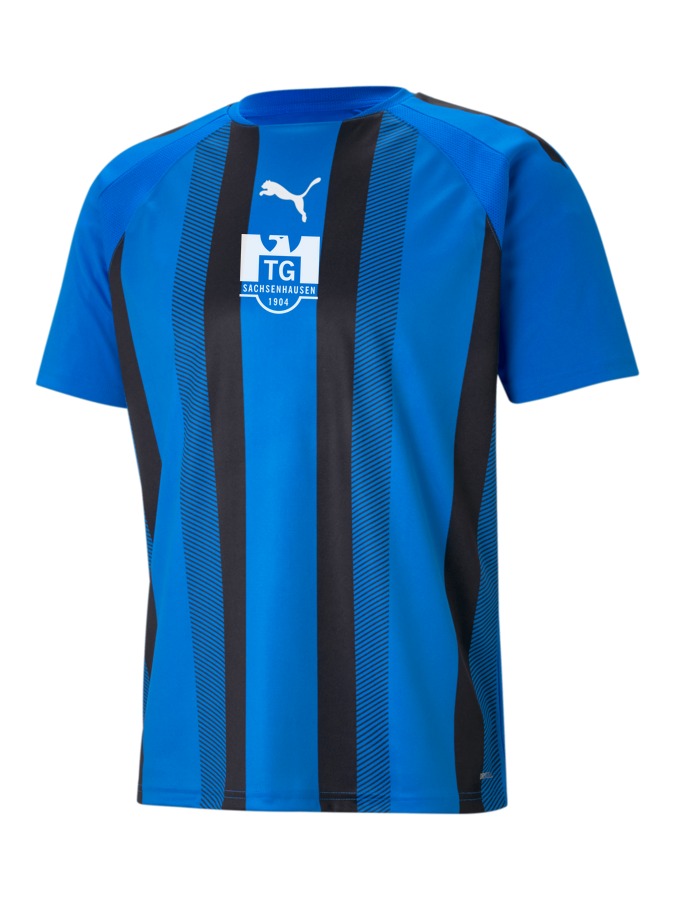 PUMA teamLIGA Striped Trikot
