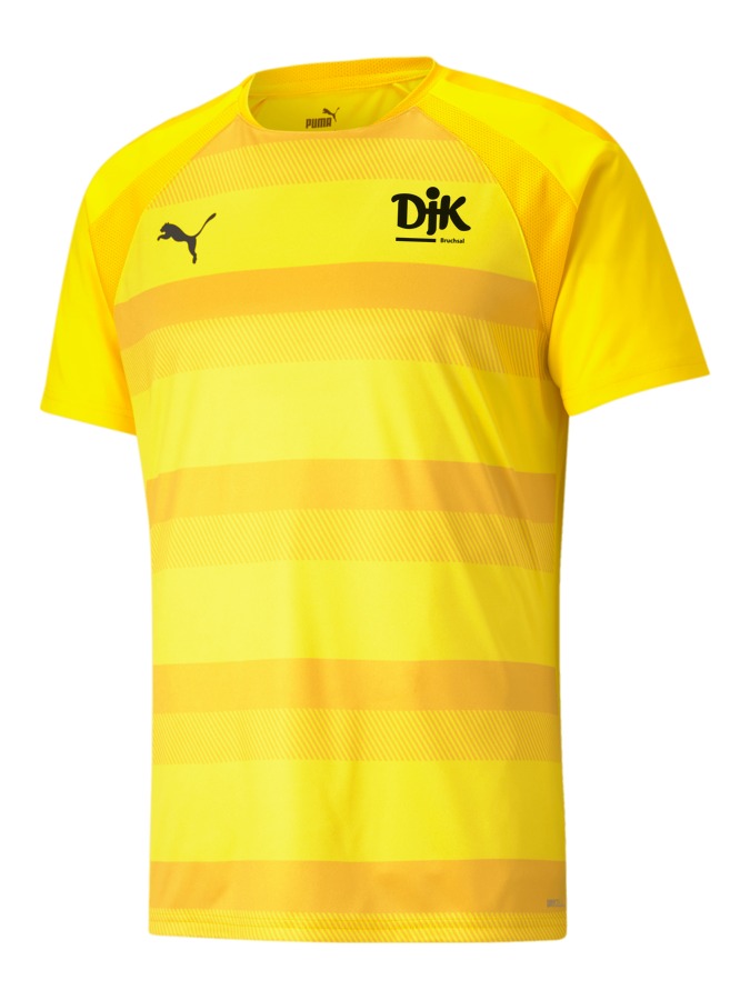 PUMA teamVISION Trikot