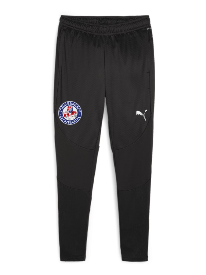 PUMA teamFINAL Trainingshose