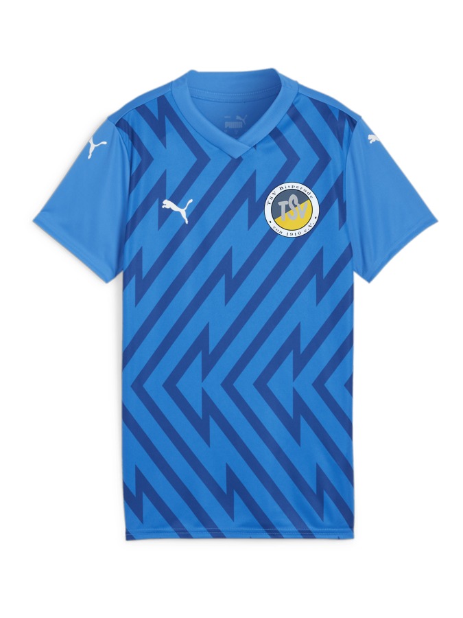 PUMA teamGLORY Trikot Damen
