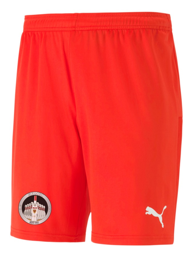 PUMA teamGOAL 23 Knit Shorts