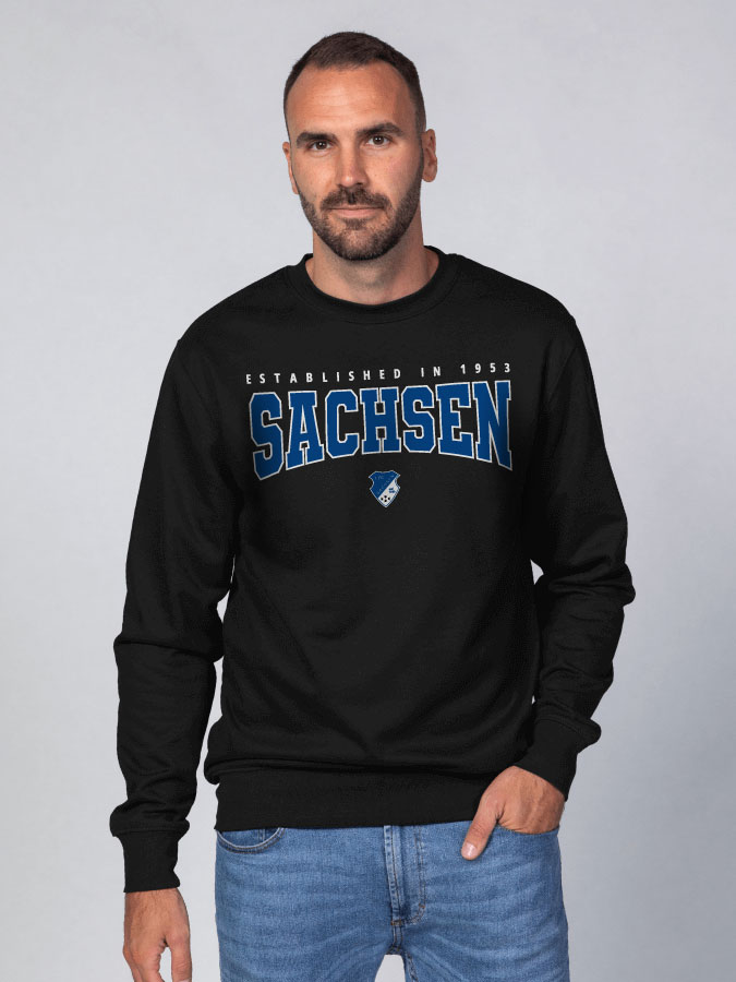 Sweater Retro Herren