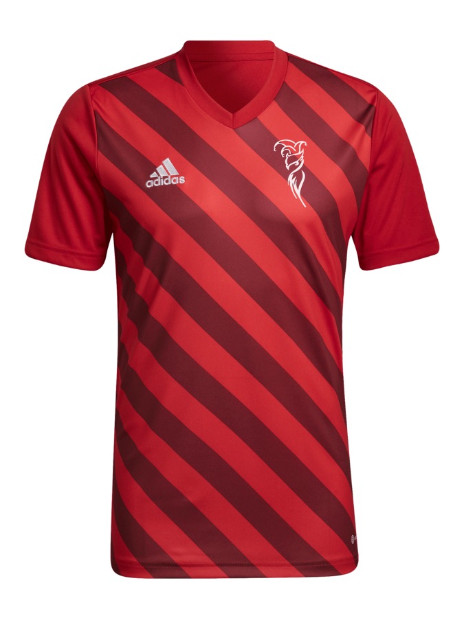 adidas Entrada 22 GFX Trikot
