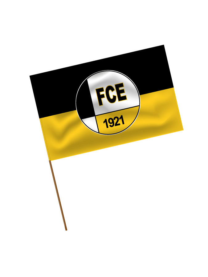Stadionfahne Logo