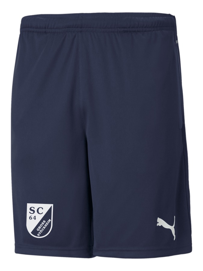 PUMA teamRISE Training Shorts