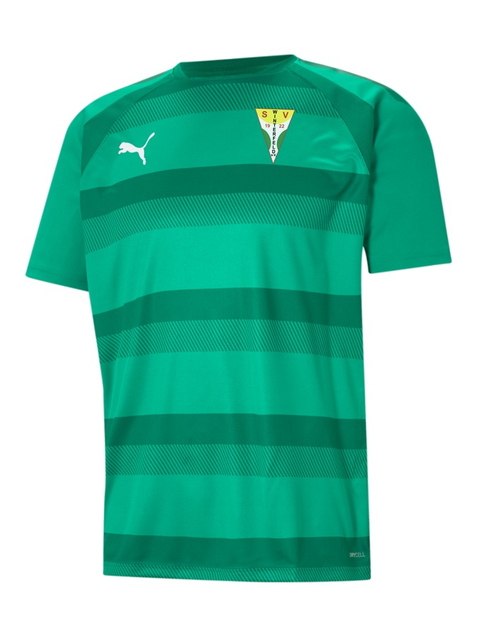 PUMA teamVISION Trikot