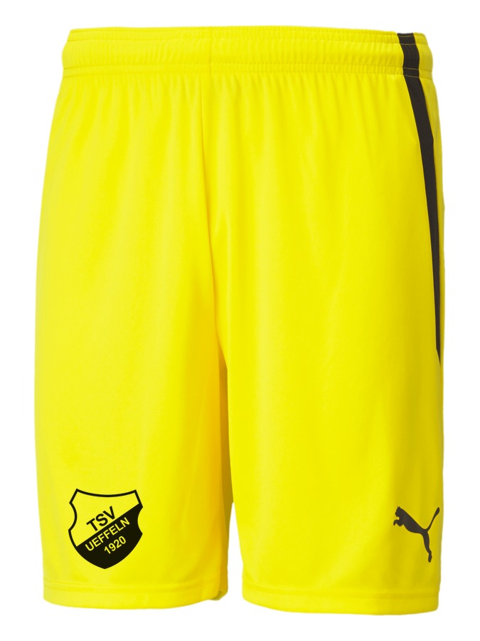 PUMA teamLIGA Shorts