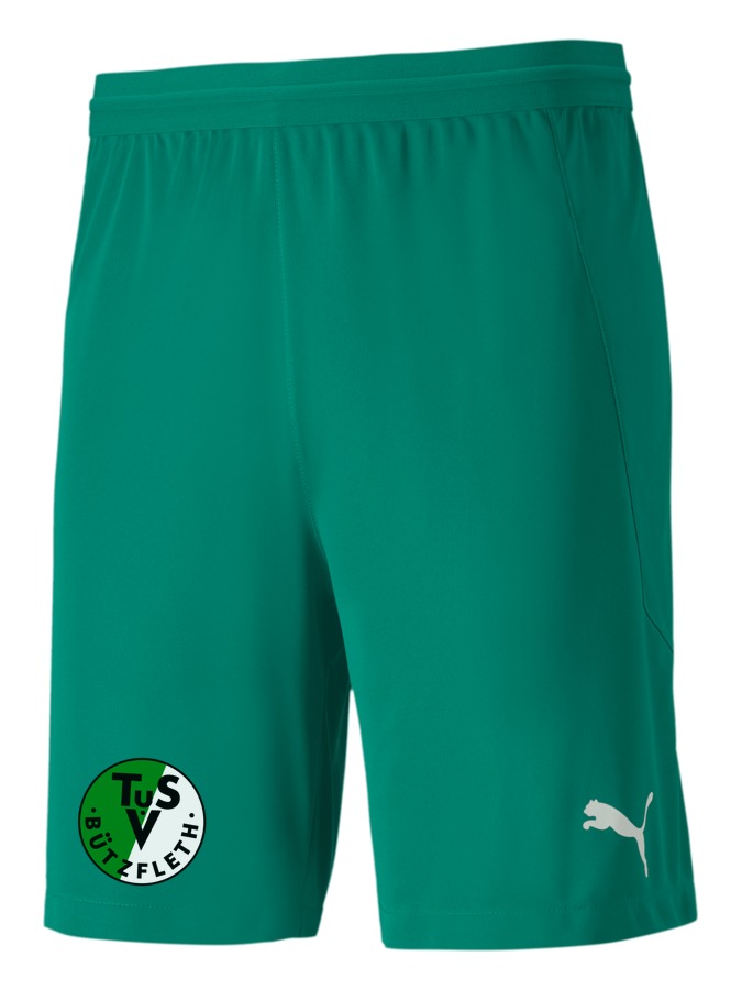 PUMA teamFINAL 21 Knit Shorts