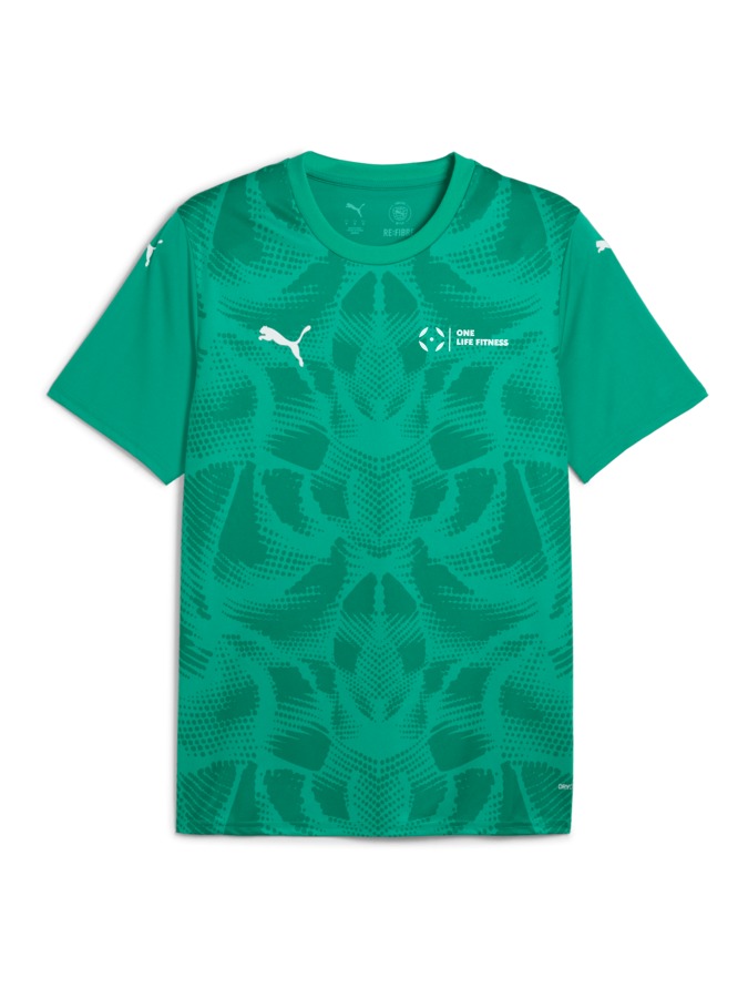 PUMA teamULTIMATE Trikot