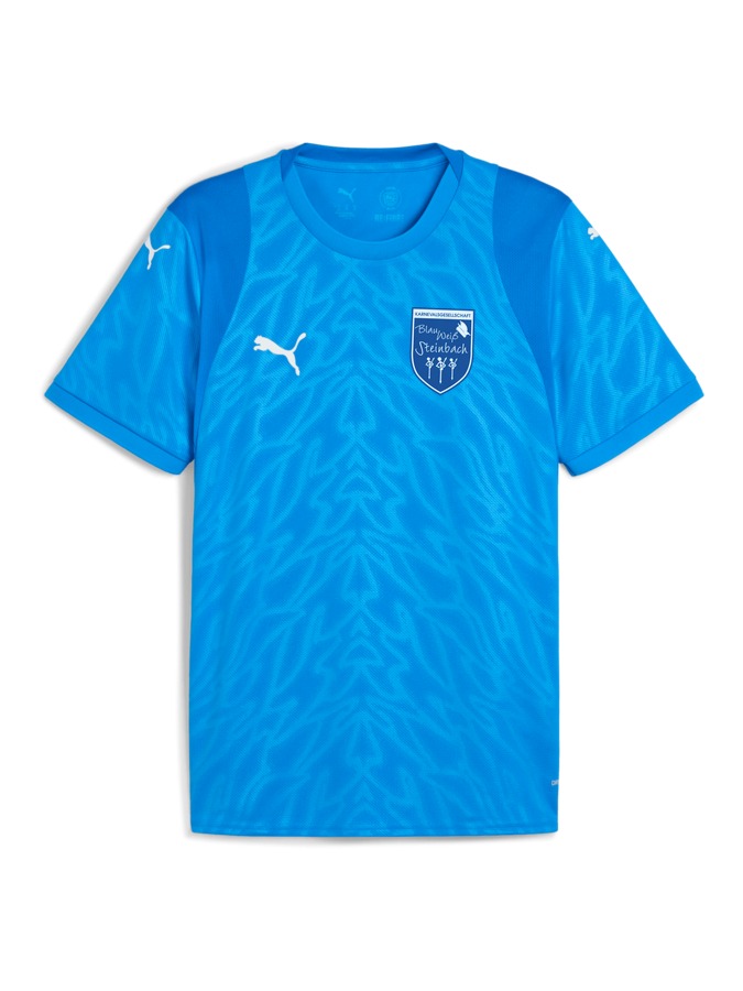 PUMA teamCUP Trikot