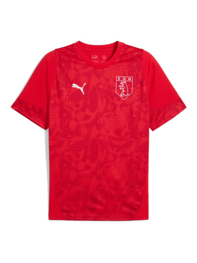PUMA teamCUP Trainingsshirt