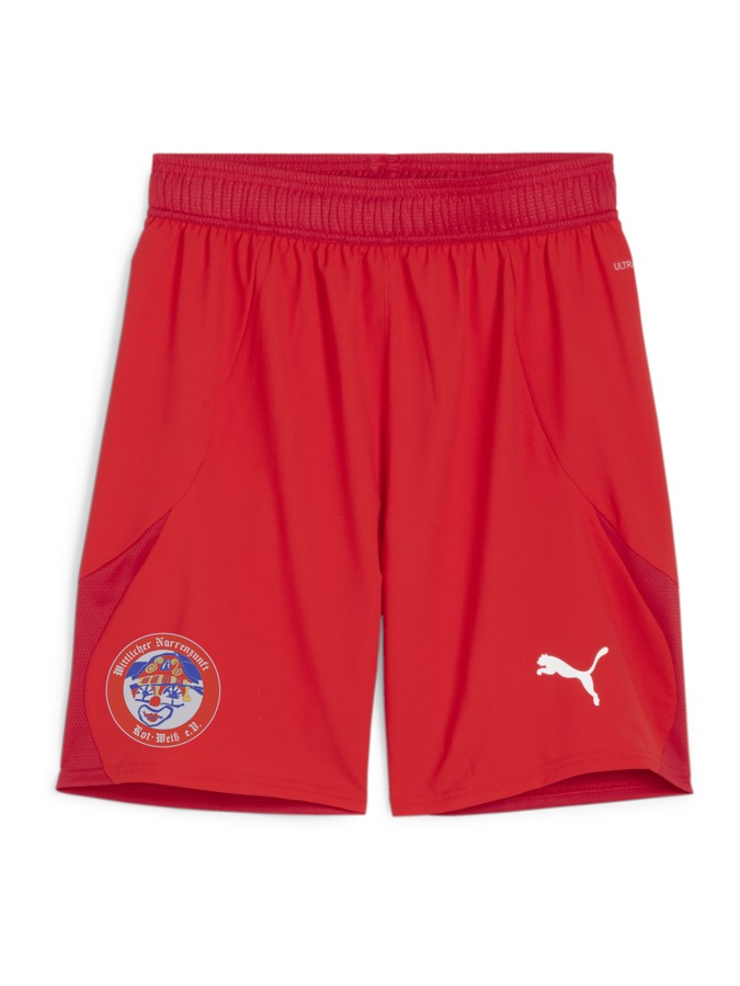PUMA teamFINAL Shorts