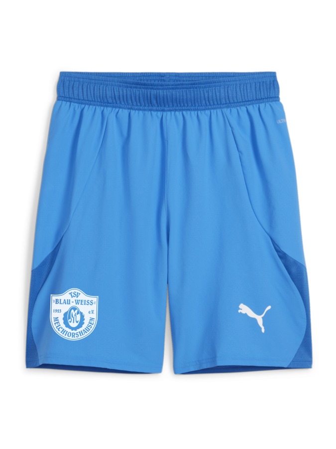 PUMA teamFINAL Shorts