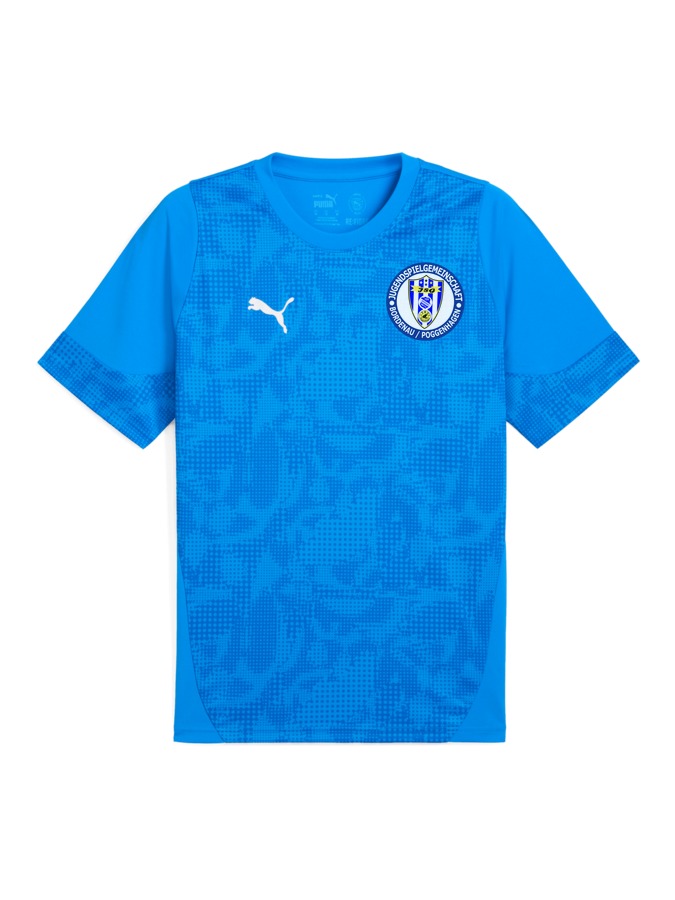 PUMA teamCUP Trainingsshirt