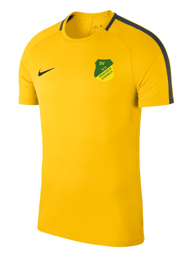 Nike Academy 18 Top