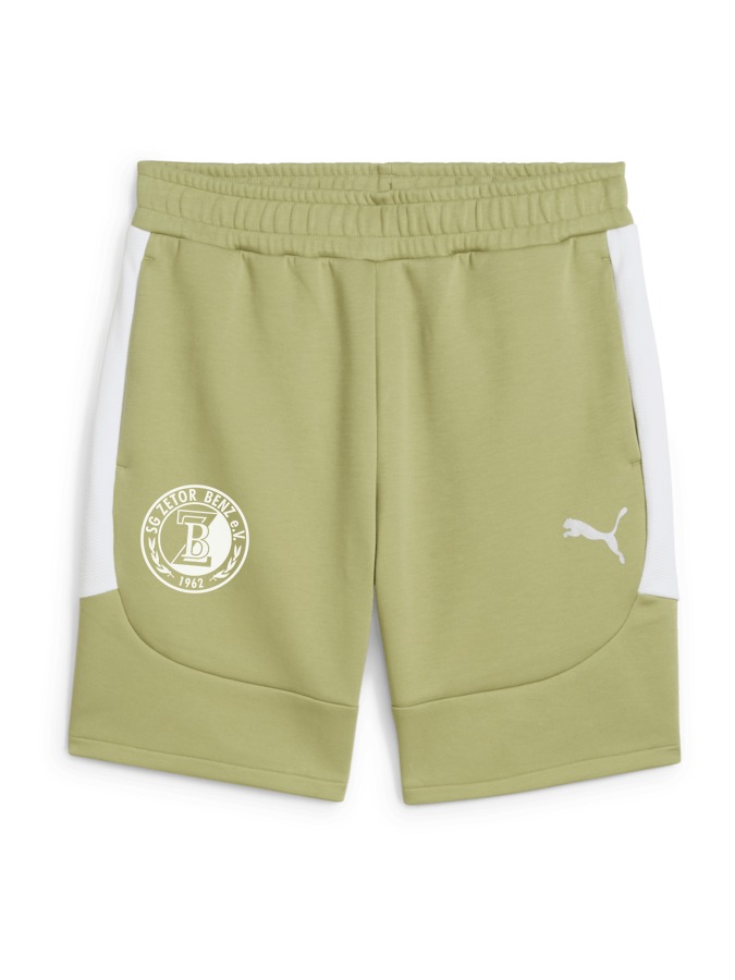 PUMA teamEVOSTRIPE Shorts