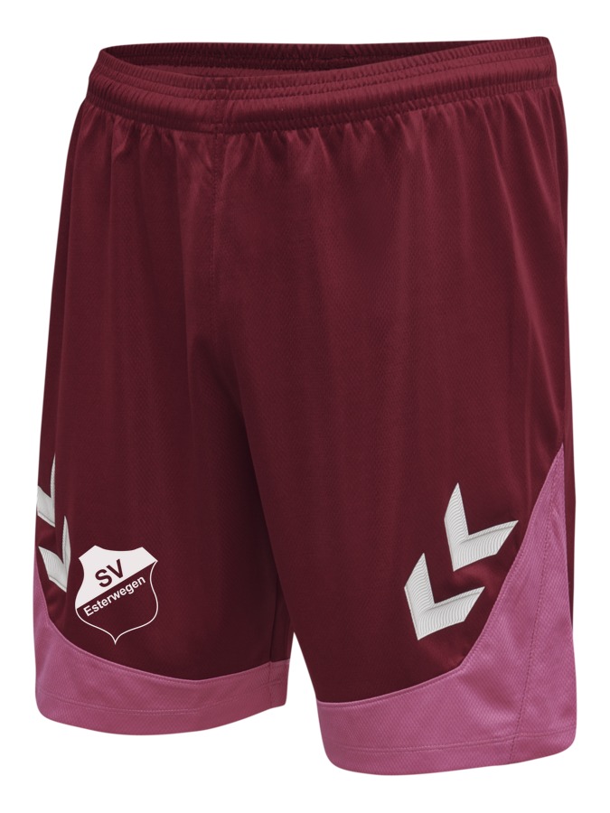 Hummel Lead Trainingsshorts