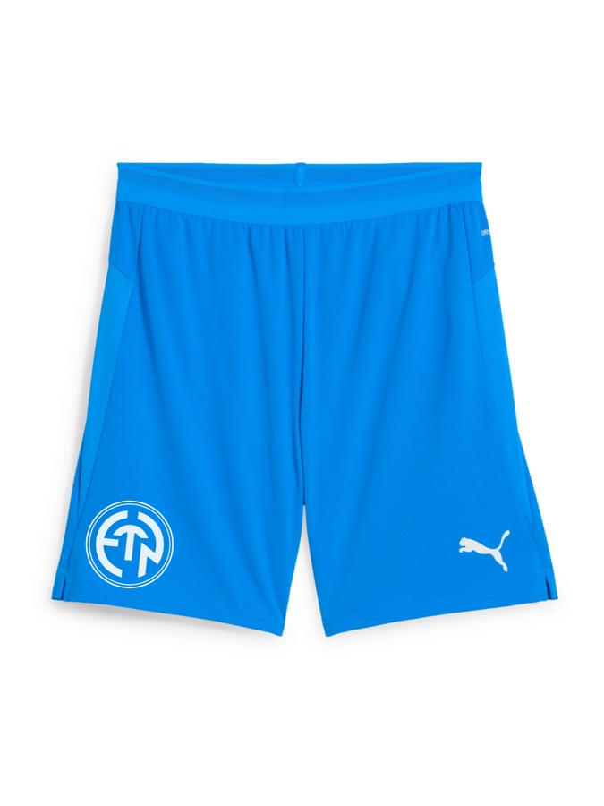 PUMA teamCUP Shorts
