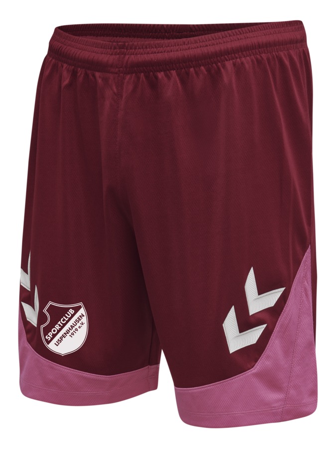 Hummel Lead Trainingsshorts