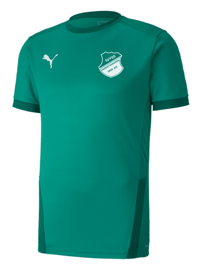 PUMA teamGOAL 23 Trikot