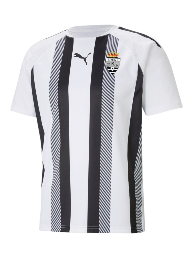 PUMA teamLIGA Striped Trikot