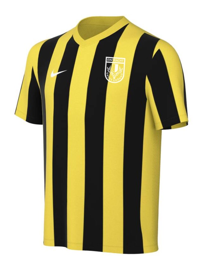 Nike Striped Division V Trikot Kinder