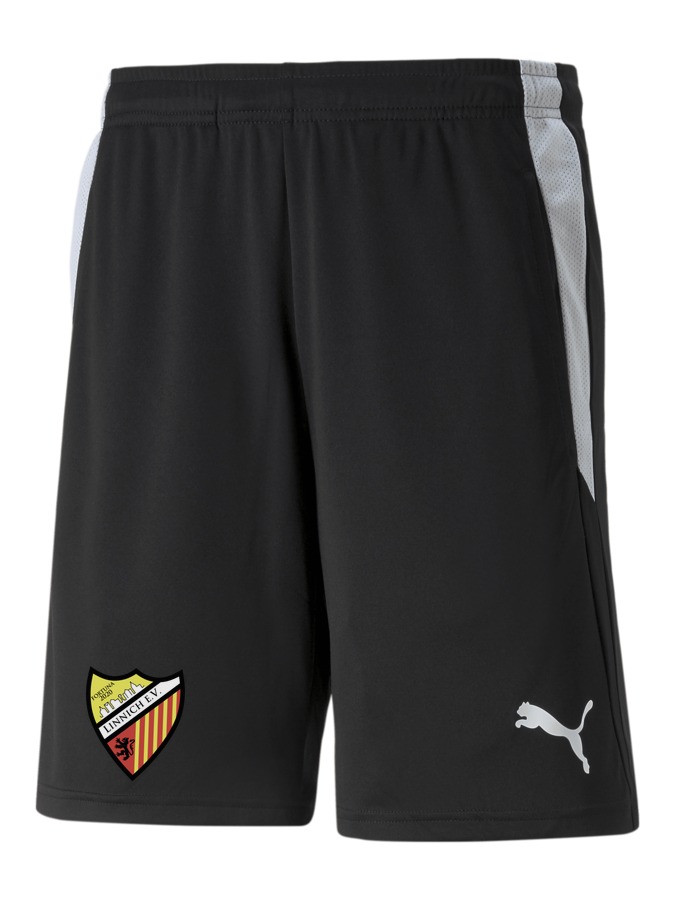 PUMA teamLIGA Referee Shorts