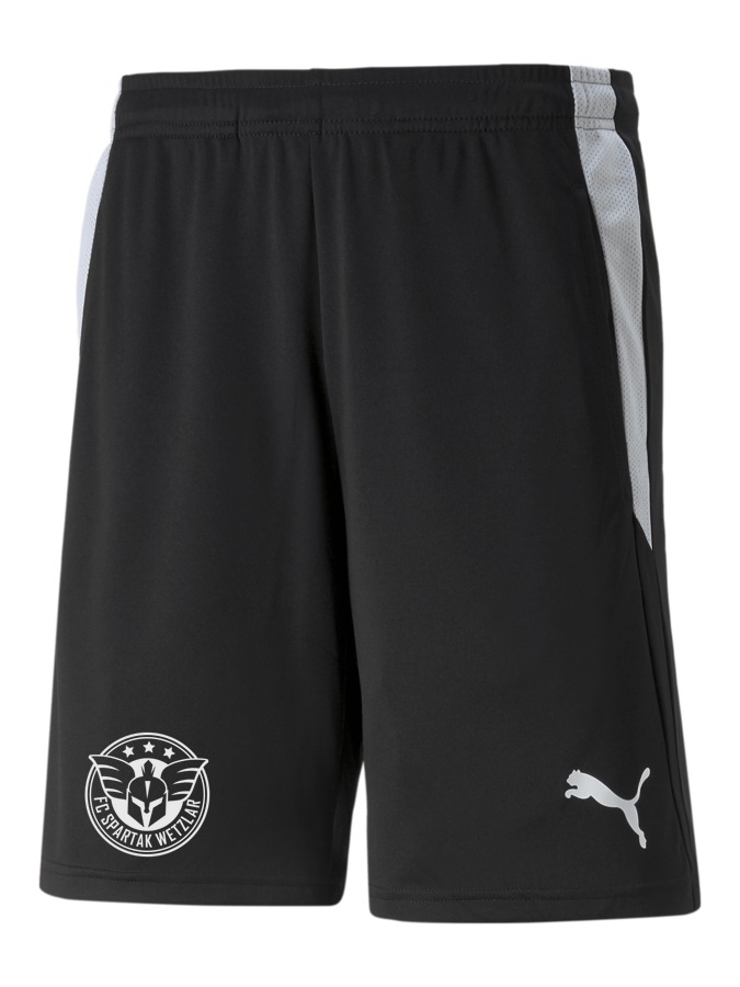 PUMA teamLIGA Referee Shorts