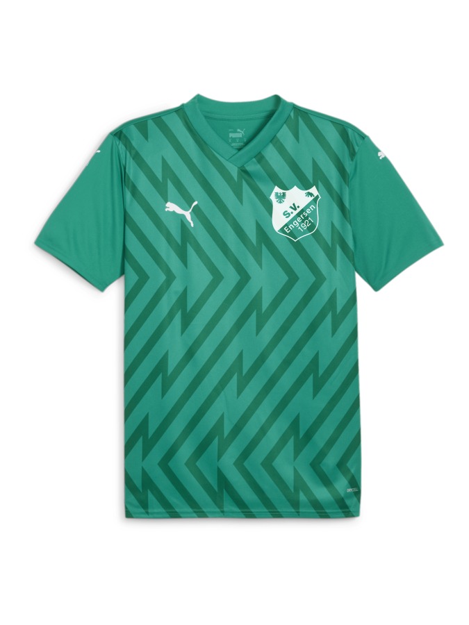 PUMA teamGLORY Trikot