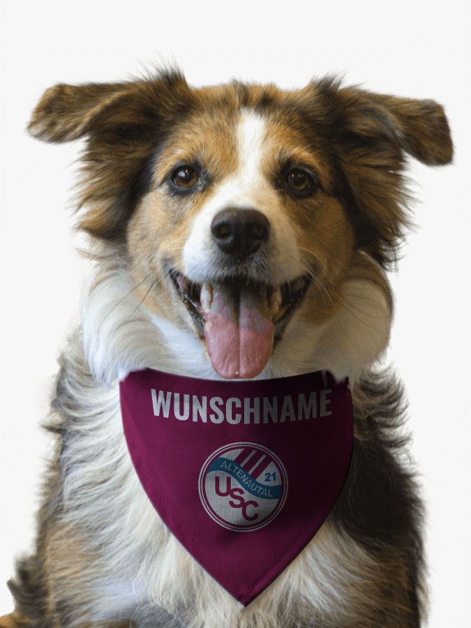 Hundehalstuch