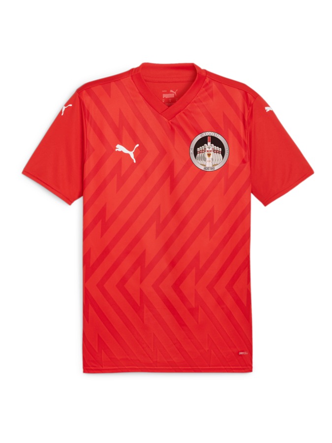 PUMA teamGLORY Trikot