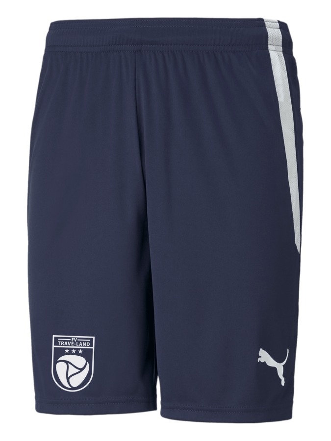 PUMA teamLIGA Shorts