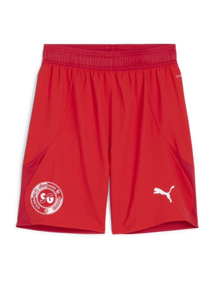 PUMA teamFINAL Shorts