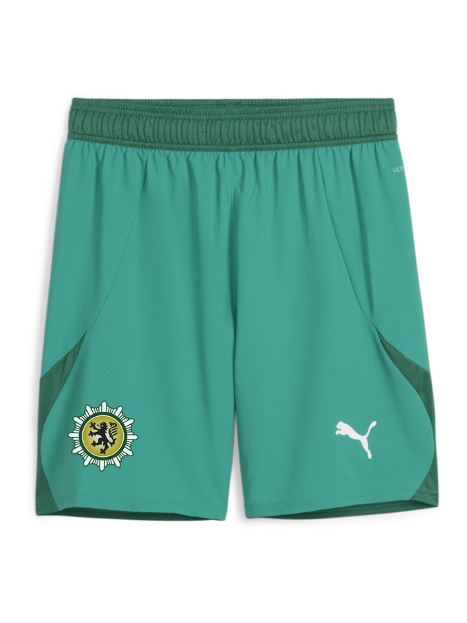 PUMA teamFINAL Shorts