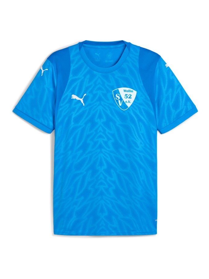 PUMA teamCUP Trikot