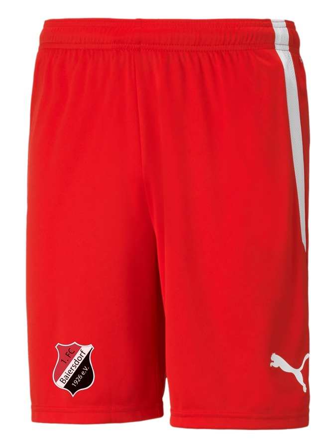 PUMA teamLIGA Shorts
