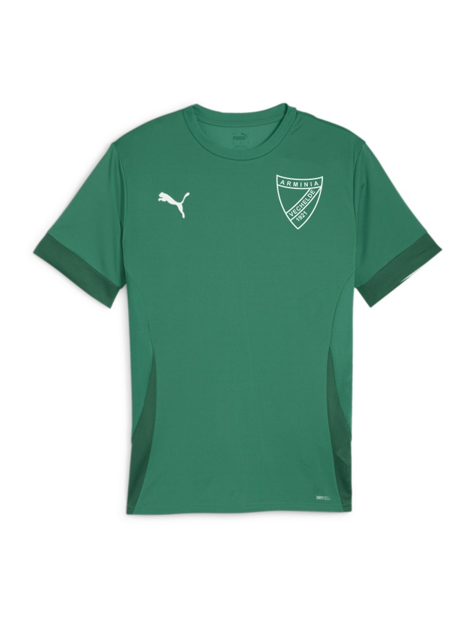 PUMA teamGOAL Matchday Trikot