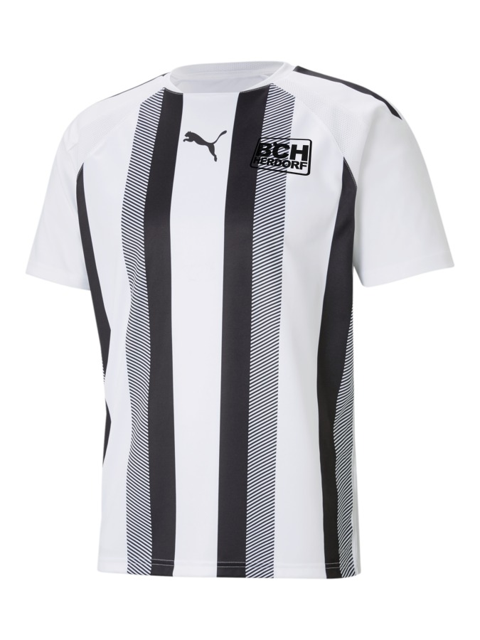 PUMA teamLIGA Striped Trikot
