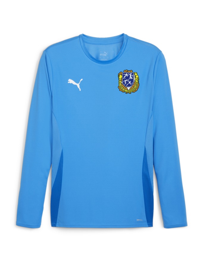 PUMA teamGOAL Longsleeve Trikot