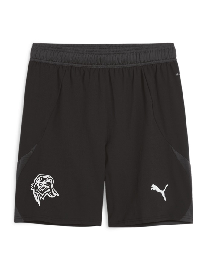 PUMA teamFINAL Shorts